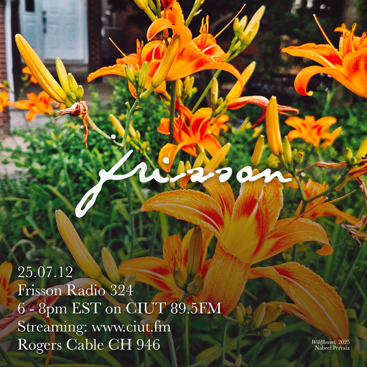 Frisson Radio 324 artwork